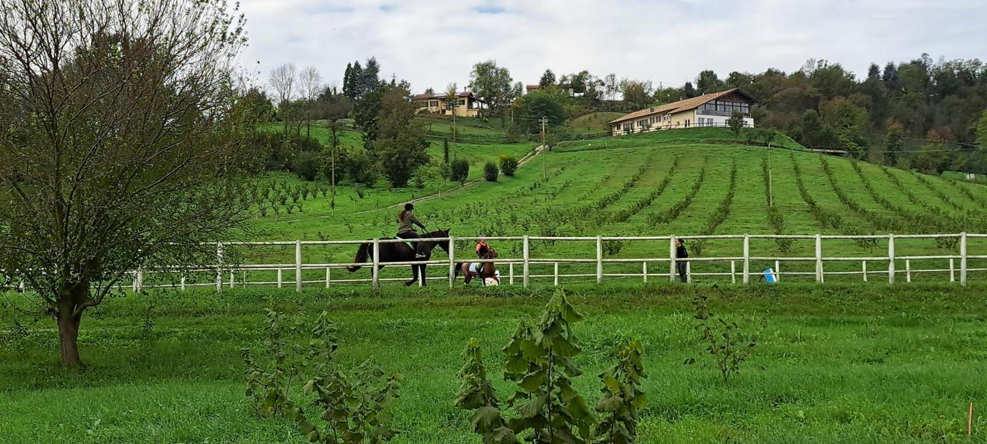 Cascina Fazioli Séjour à la ferme Alfiano Natta