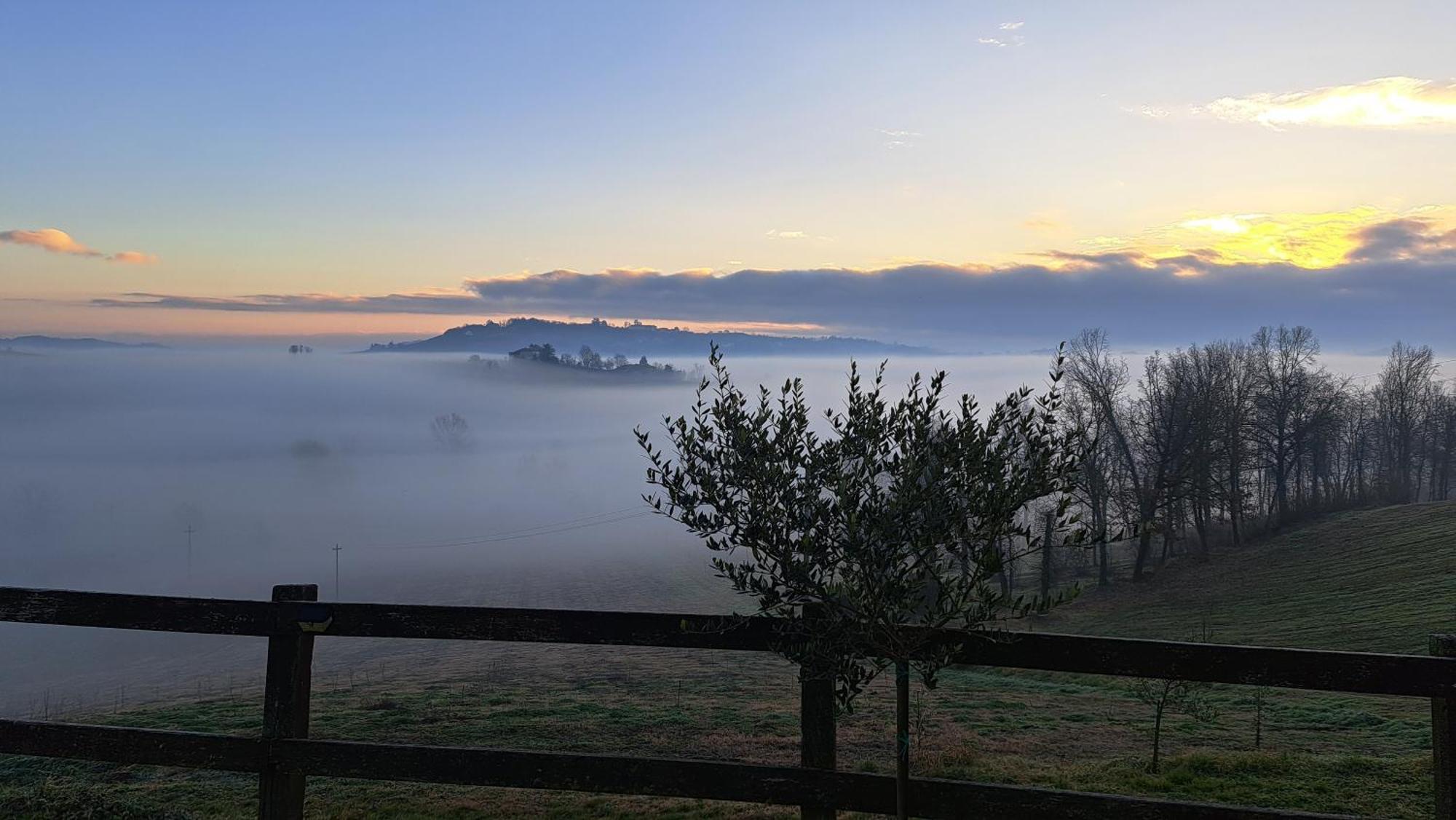 Séjour à la ferme Cascina Fazioli Alfiano Natta