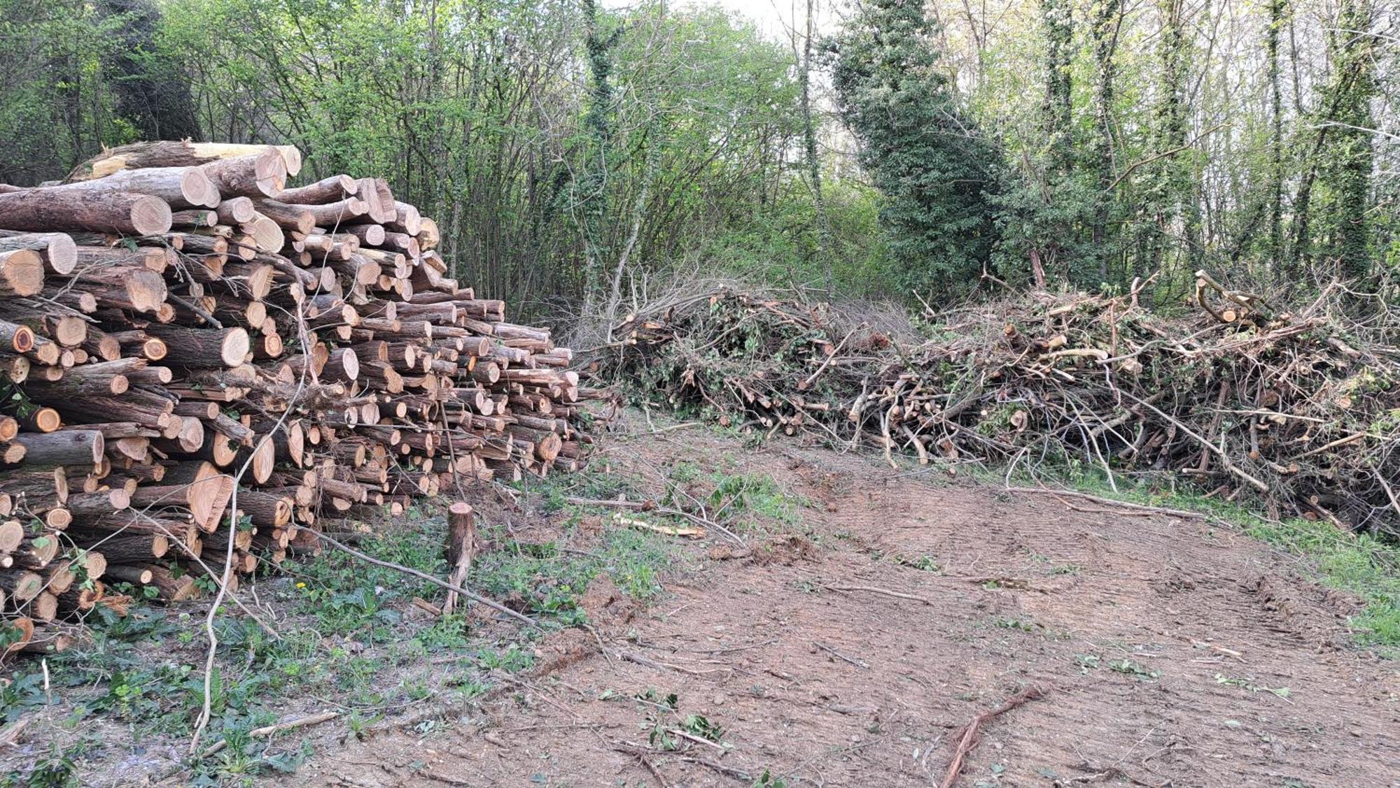 Séjour à la ferme Cascina Fazioli Alfiano Natta